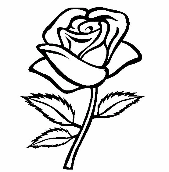 Coloriage gratuit Roses #161865 de la collection Nature et saisons à imprimer Coloriage gratuit Roses #161865 de la collection Nature et saisons à imprimer