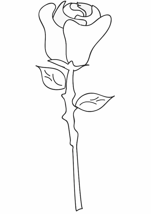 Coloriage gratuit Roses #161950 de la collection Nature et saisons à imprimer
