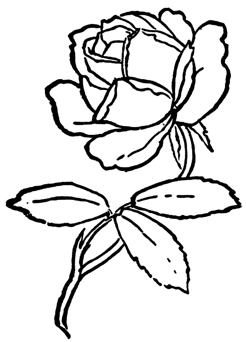 Coloriage Roses #161989 à imprimer gratuitement, extrait de la collection Nature et saisons