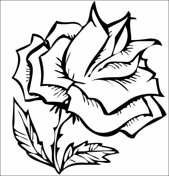Coloriage gratuit Roses #162049 de la collection Nature et saisons à imprimer