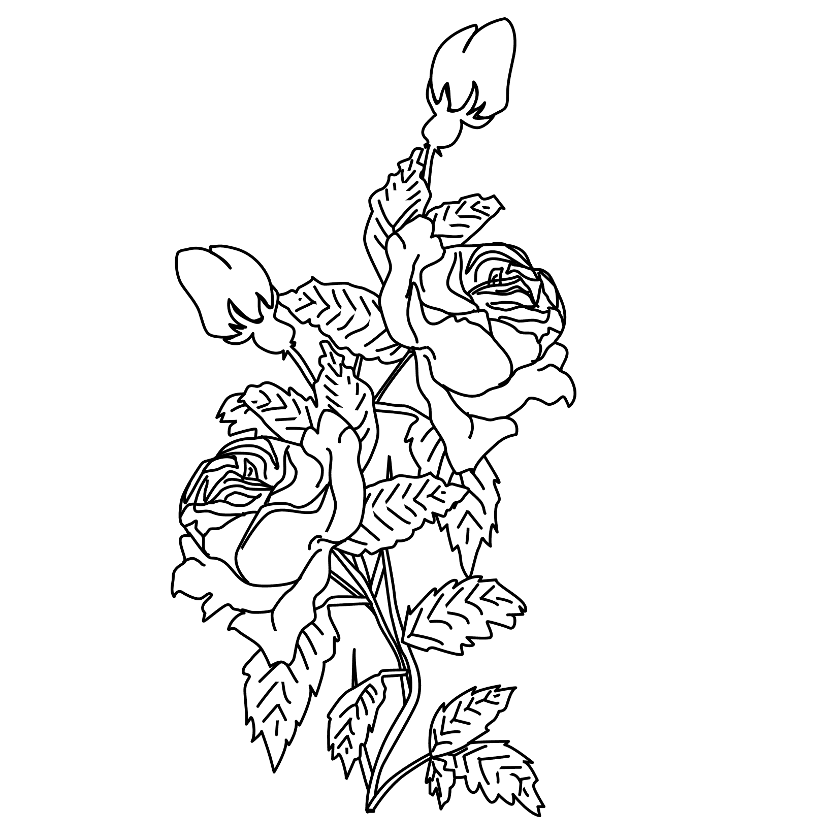 Dessin Roses #162066 à colorier de la série Nature et saisons, gratuit à télécharger et imprimer