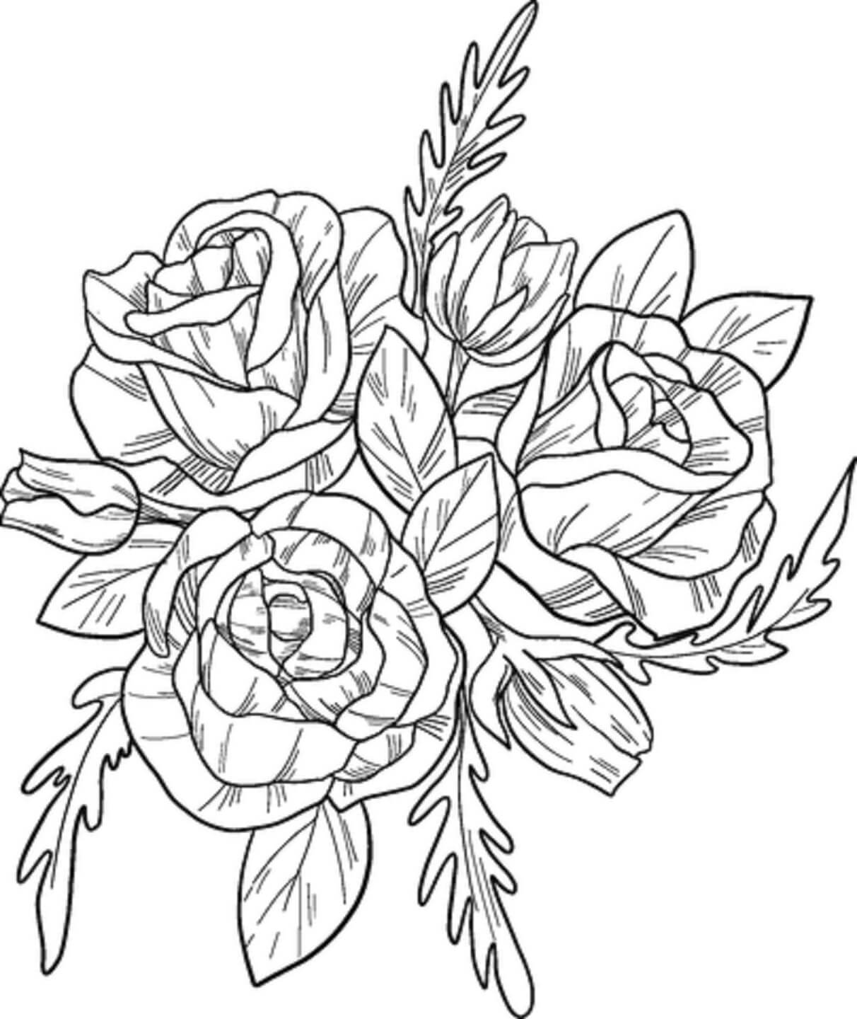 Coloriage gratuit Roses #176492 de la collection Nature et saisons à imprimer