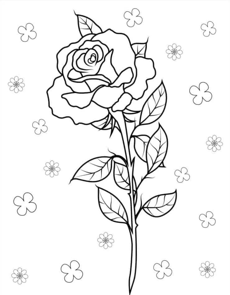 Joli coloriage Roses #218719 de la collection Nature et saisons, prêt à imprimer pour petits et grands
