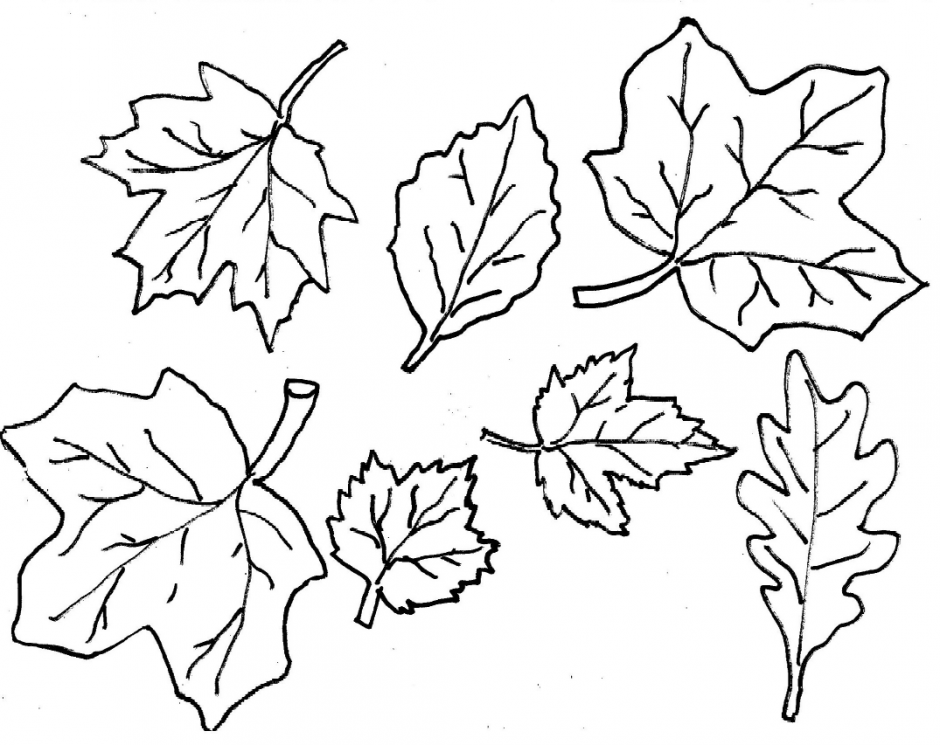 Dessin à colorier: Saison Automne (Nature et saisons) #164059 - Coloriages à Imprimer Gratuits
