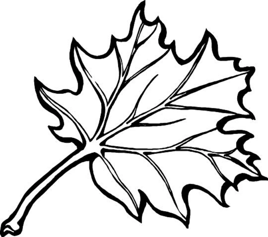 Dessin à colorier Saison Automne #164084 issu de la collection Nature et saisons, prêt à imprimer