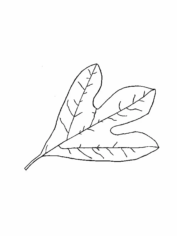 Dessin à colorier Saison Automne #164264 issu de la collection Nature et saisons, prêt à imprimer