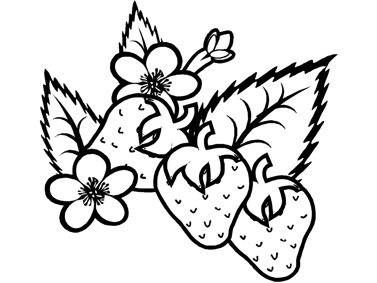Dessin à colorier: Saison Été (Nature et saisons) #165116 - Coloriages à Imprimer Gratuits