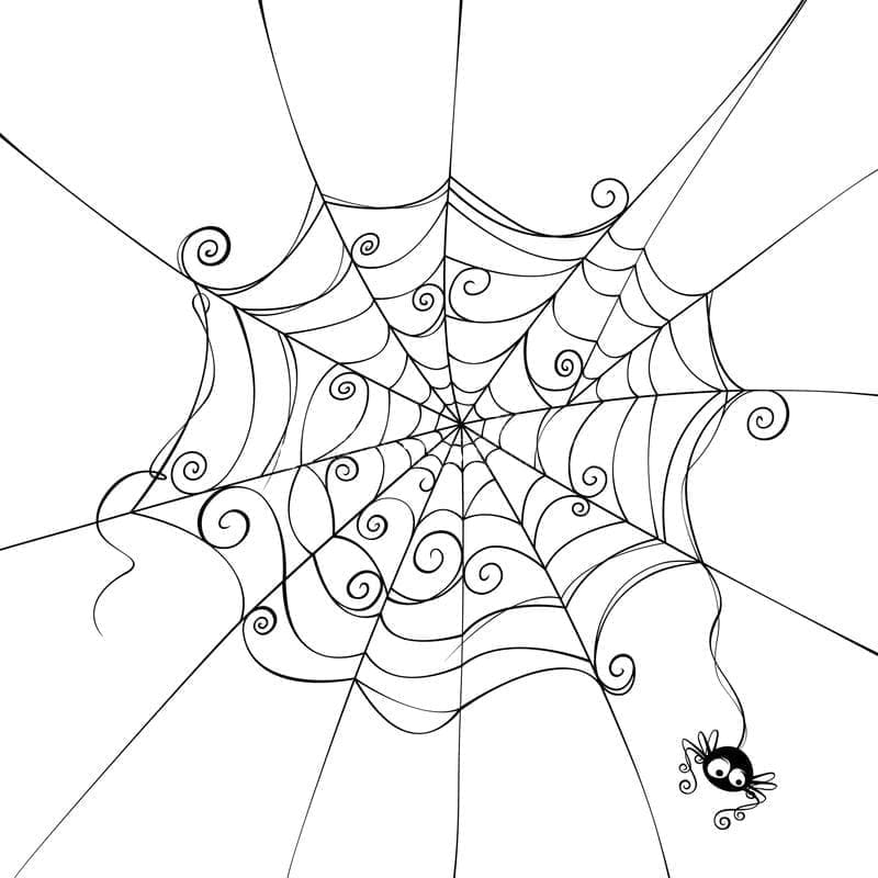 Dessin à colorier: Toile d’Araignée (Nature et saisons) #204183 - Coloriages à Imprimer Gratuits