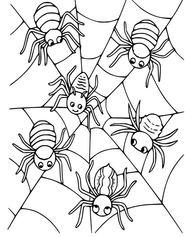 Dessin à colorier: Toile d’Araignée (Nature et saisons) #204186 - Coloriages à Imprimer Gratuits