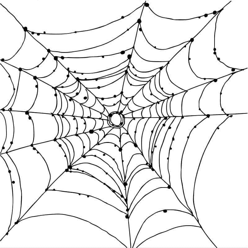 Dessin à colorier: Toile d’Araignée (Nature et saisons) #204194 - Coloriages à Imprimer Gratuits