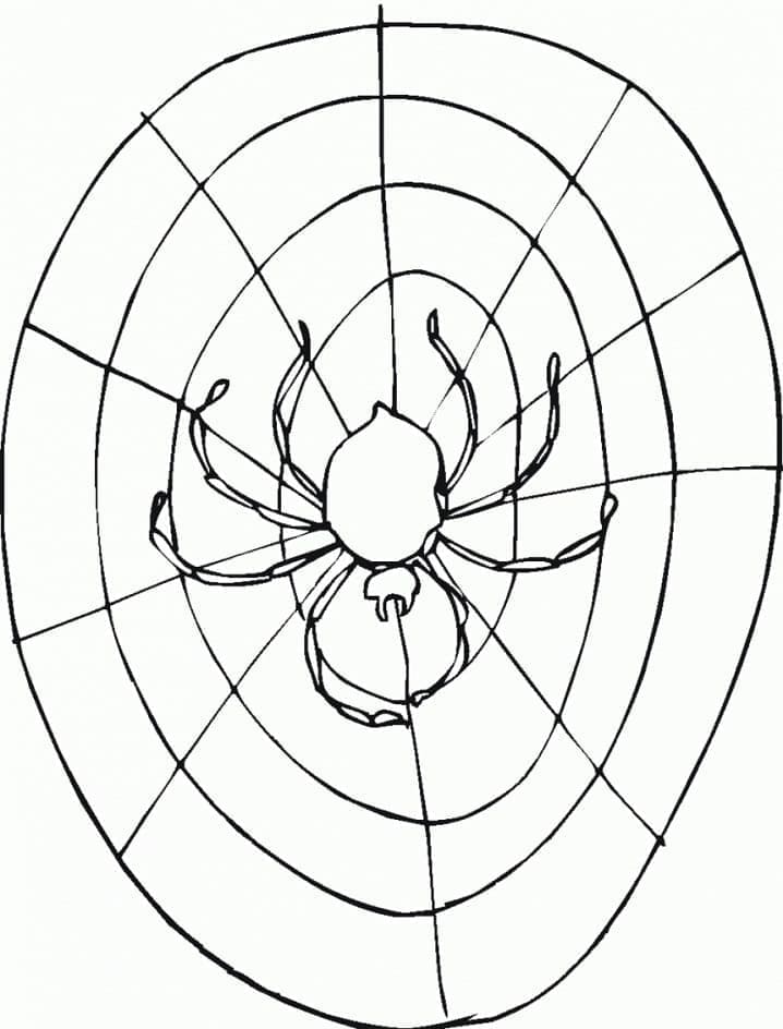 Dessin à colorier: Toile d’Araignée (Nature et saisons) #204207 - Coloriages à Imprimer Gratuits