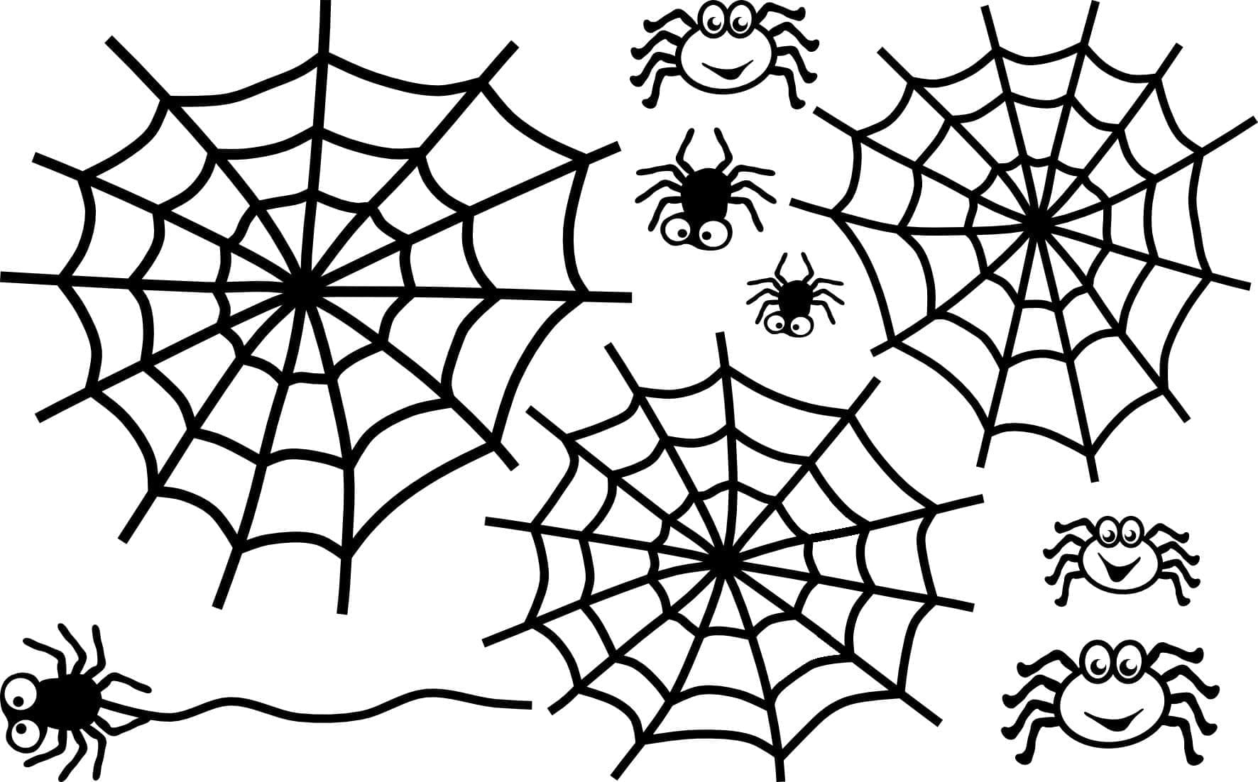 Dessin à colorier: Toile d’Araignée (Nature et saisons) #204217 - Coloriages à Imprimer Gratuits
