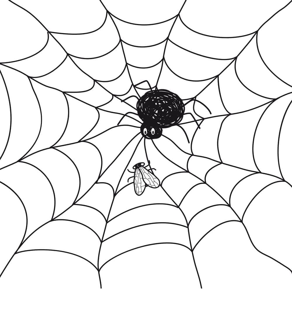 Dessin à colorier: Toile d’Araignée (Nature et saisons) #204218 - Coloriages à Imprimer Gratuits