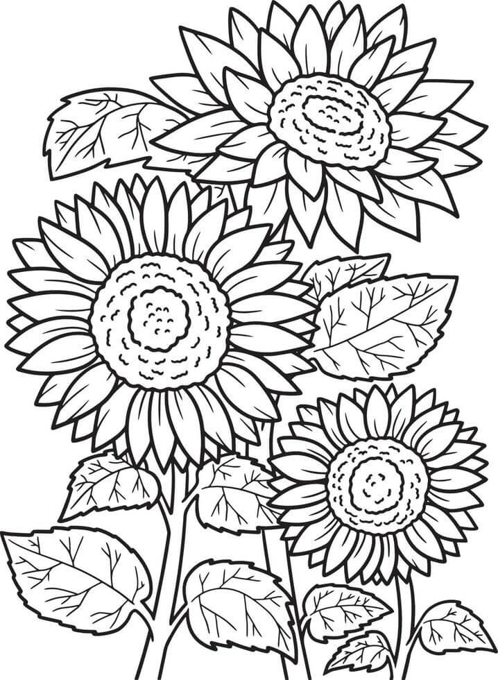 Coloriage gratuit Tournesol #171020 de la collection Nature et saisons à imprimer