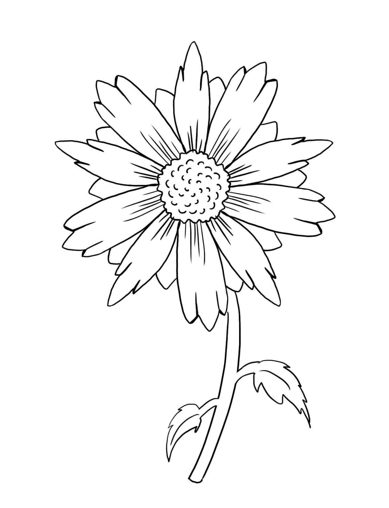 Coloriage gratuit Tournesol #171024 de la collection Nature et saisons à imprimer