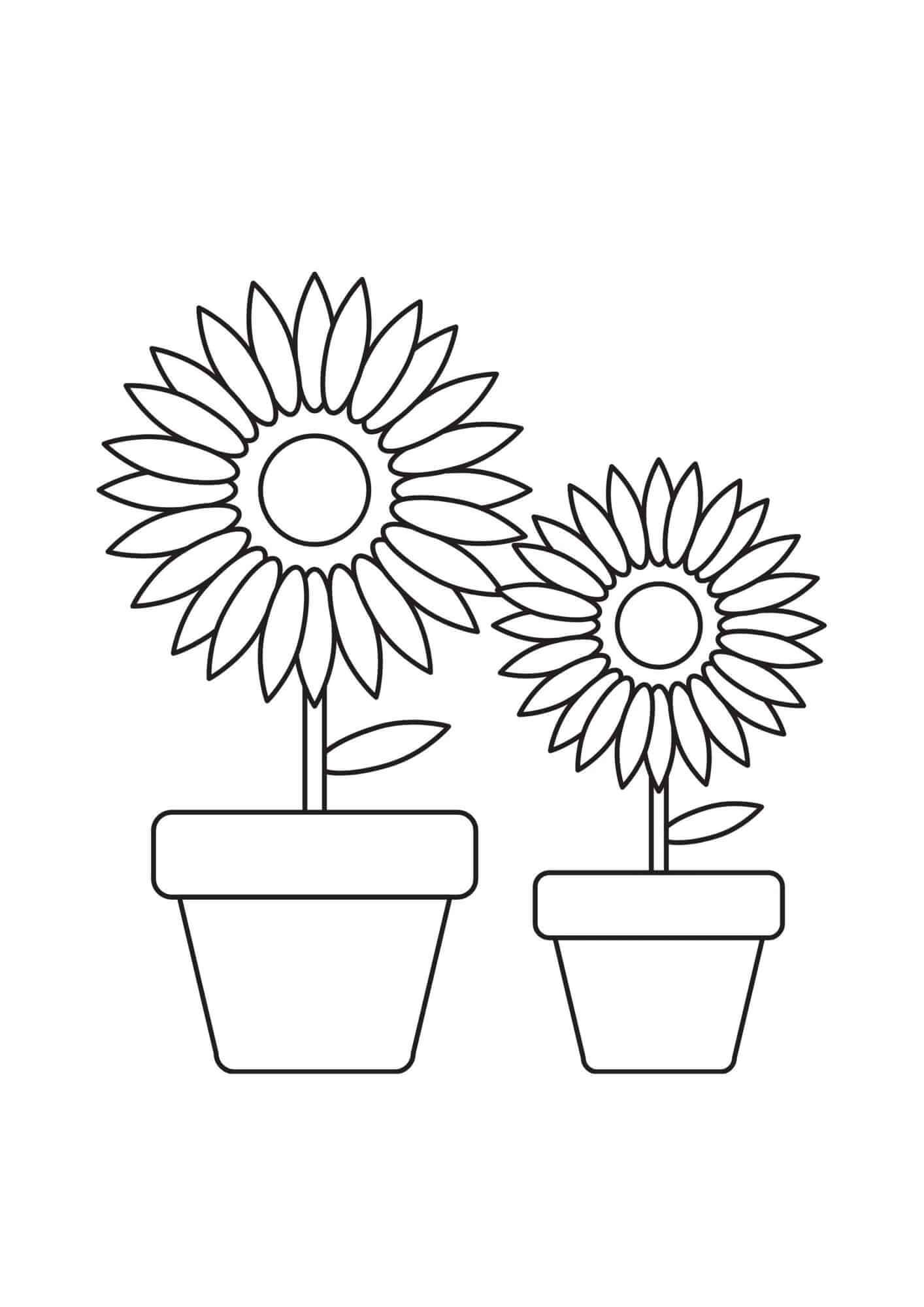 Coloriage gratuit Tournesol #171029 de la collection Nature et saisons à imprimer