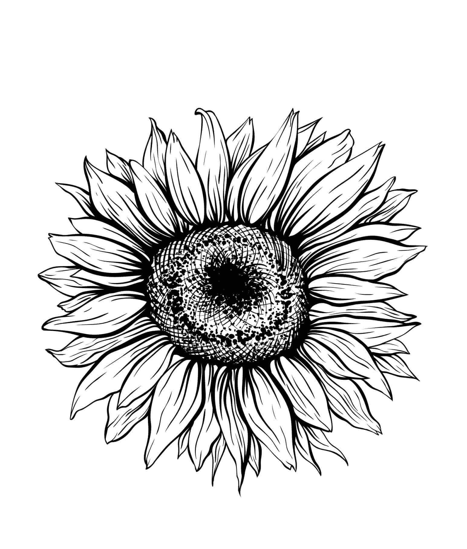 Coloriage gratuit Tournesol #171033 de la collection Nature et saisons à imprimer