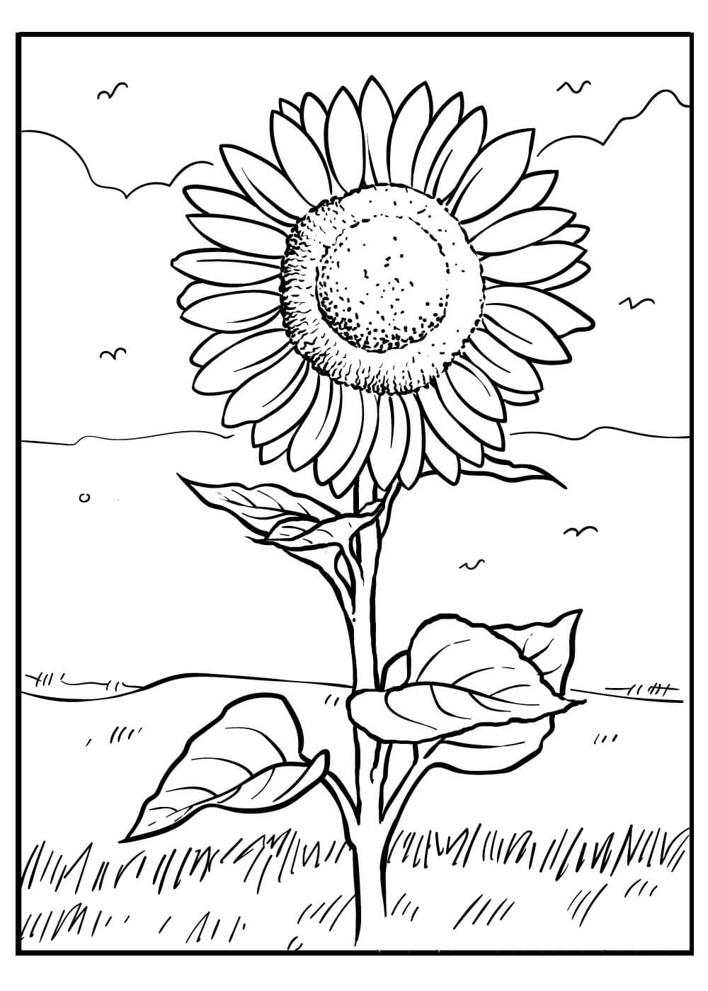 Coloriage gratuit Tournesol #171037 de la collection Nature et saisons à imprimer