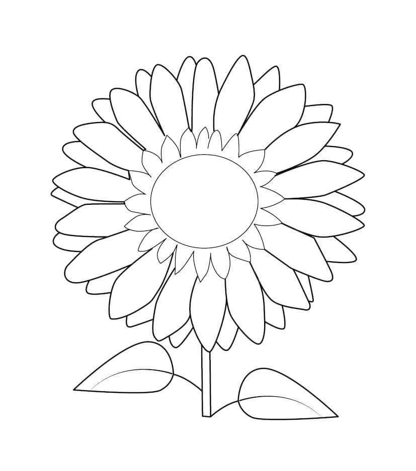 Coloriage gratuit Tournesol #171045 de la collection Nature et saisons à imprimer