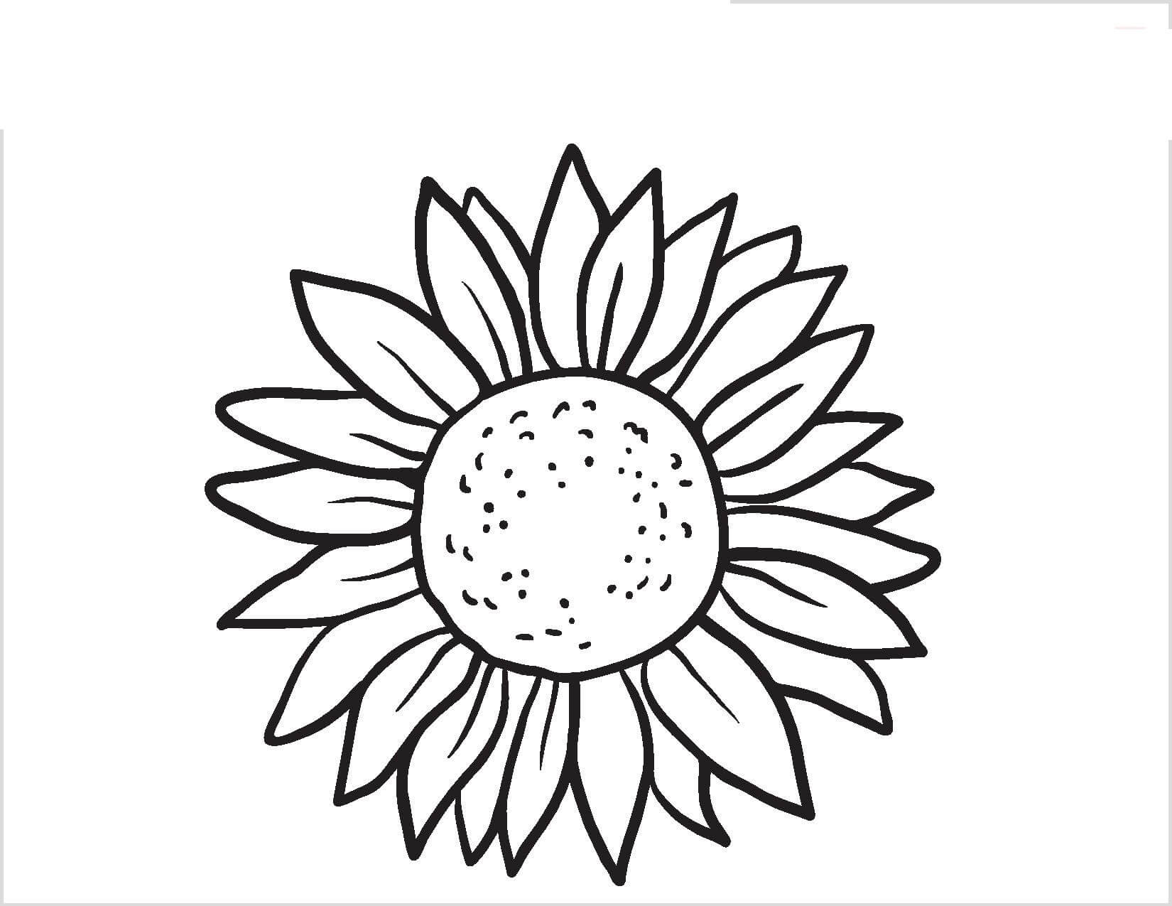 Coloriage gratuit Tournesol #171052 de la collection Nature et saisons à imprimer