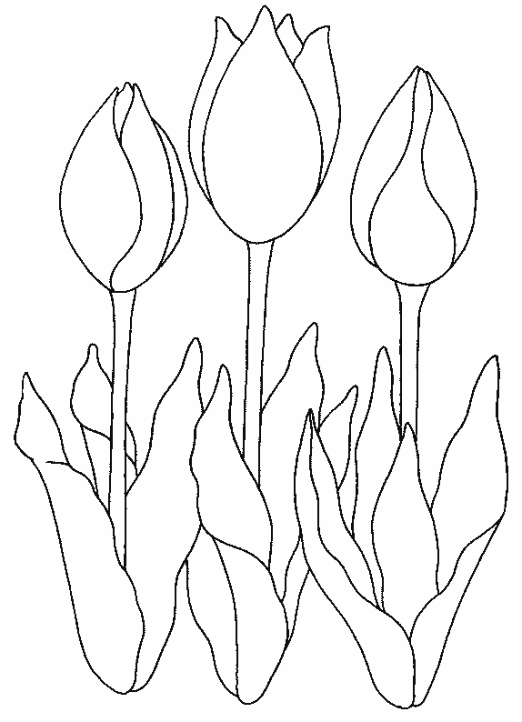 Coloriage gratuit Tulipe #161674 de la collection Nature et saisons à imprimer