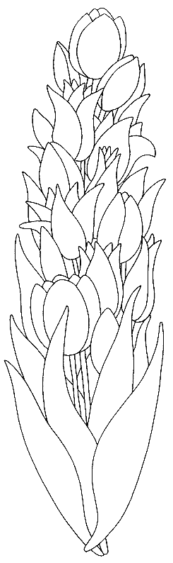 Coloriage gratuit Tulipe #161675 de la collection Nature et saisons à imprimer