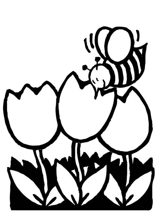 Coloriage gratuit Tulipe #161694 de la collection Nature et saisons à imprimer