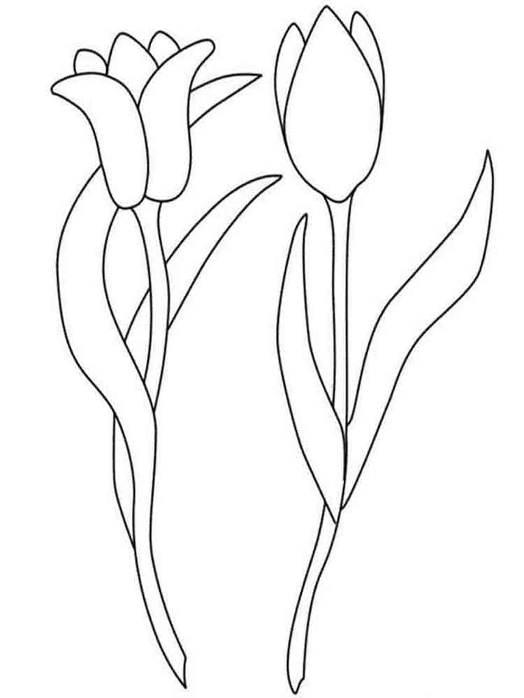 Coloriage gratuit Tulipe #174119 de la collection Nature et saisons à imprimer