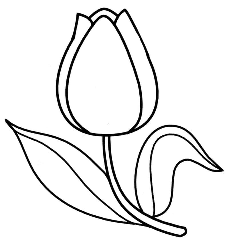 Coloriage gratuit Tulipe #174127 de la collection Nature et saisons à imprimer