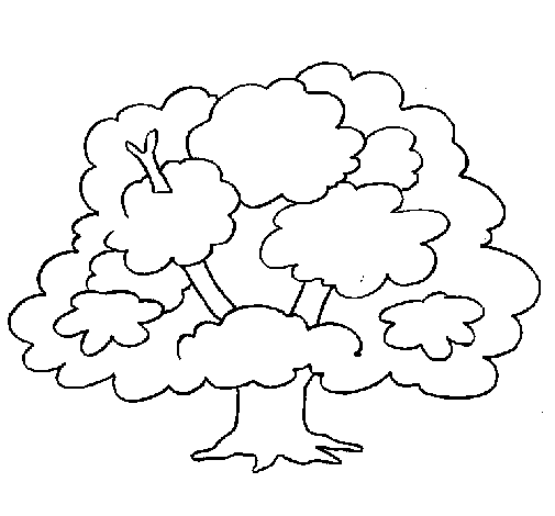 Dessin à colorier: Arbre (Nature) #154730 - Coloriages à Imprimer Gratuits