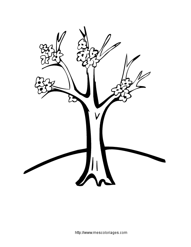 Dessin à colorier: Arbre (Nature) #154761 - Coloriages à Imprimer Gratuits