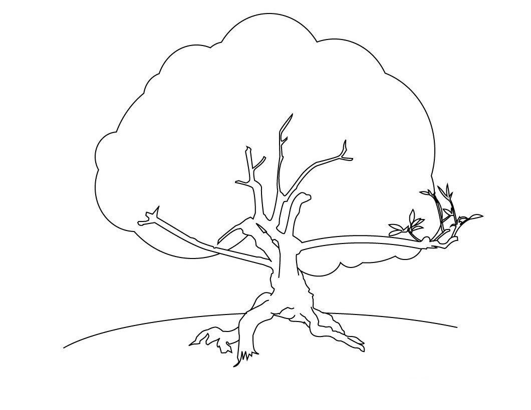 Dessin à colorier: Arbre (Nature) #154774 - Coloriages à Imprimer Gratuits