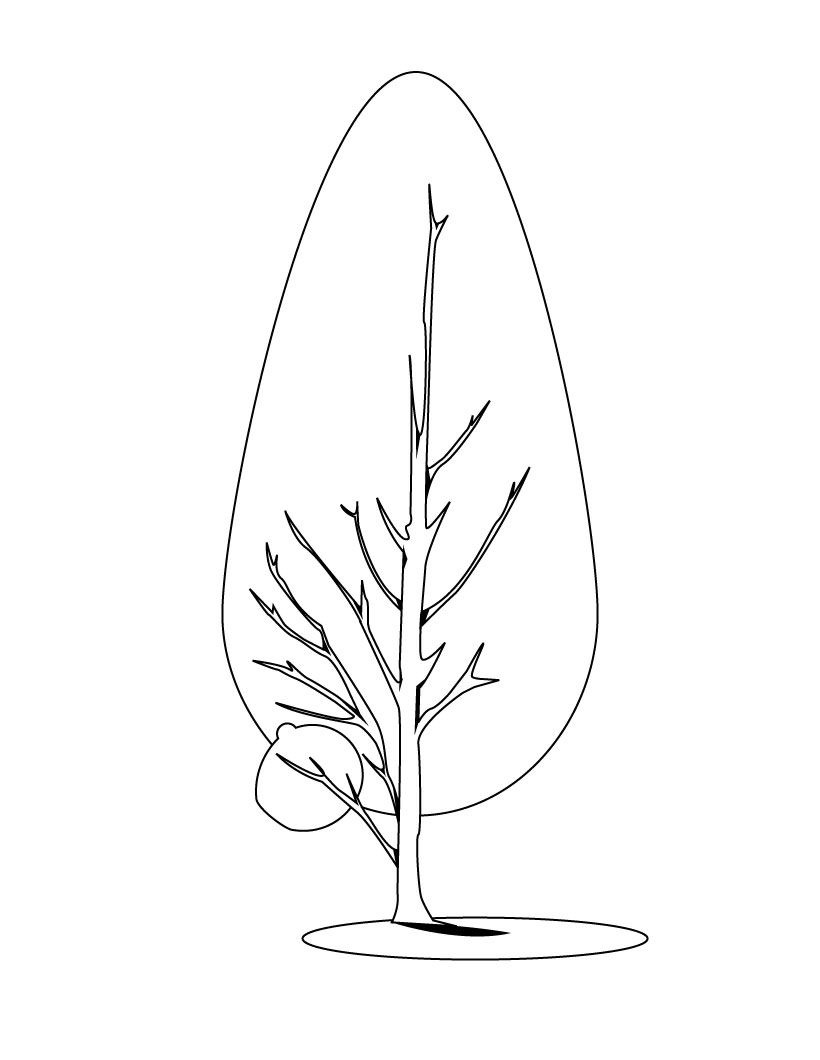 Dessin à colorier: Arbre (Nature) #154824 - Coloriages à Imprimer Gratuits