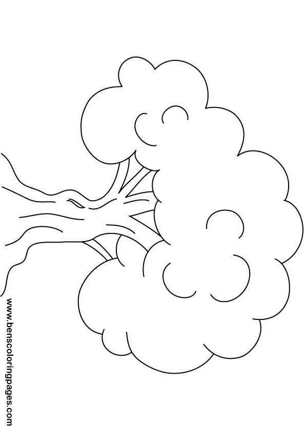 Dessin à colorier: Arbre (Nature) #154826 - Coloriages à Imprimer Gratuits