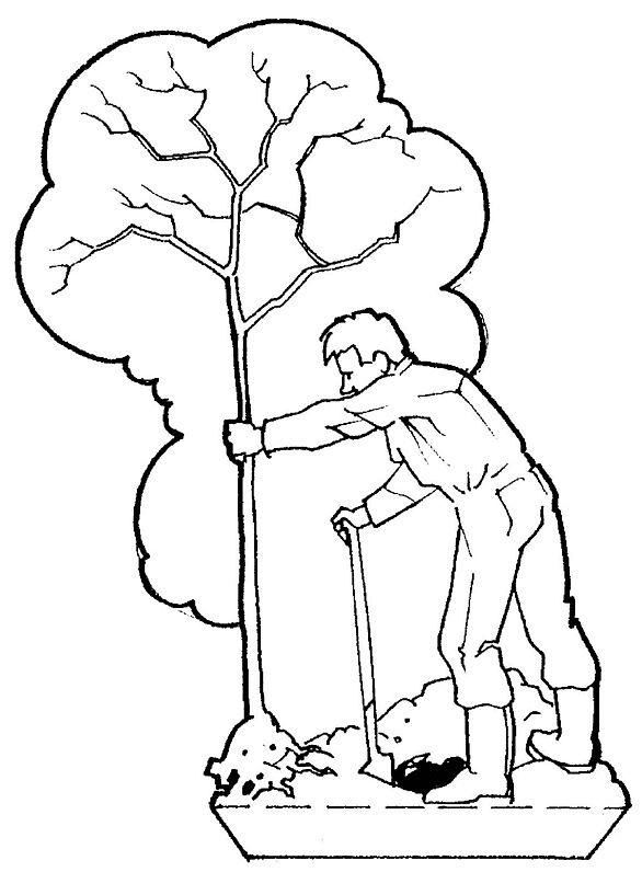 Dessin à colorier: Arbre (Nature) #154874 - Coloriages à Imprimer Gratuits