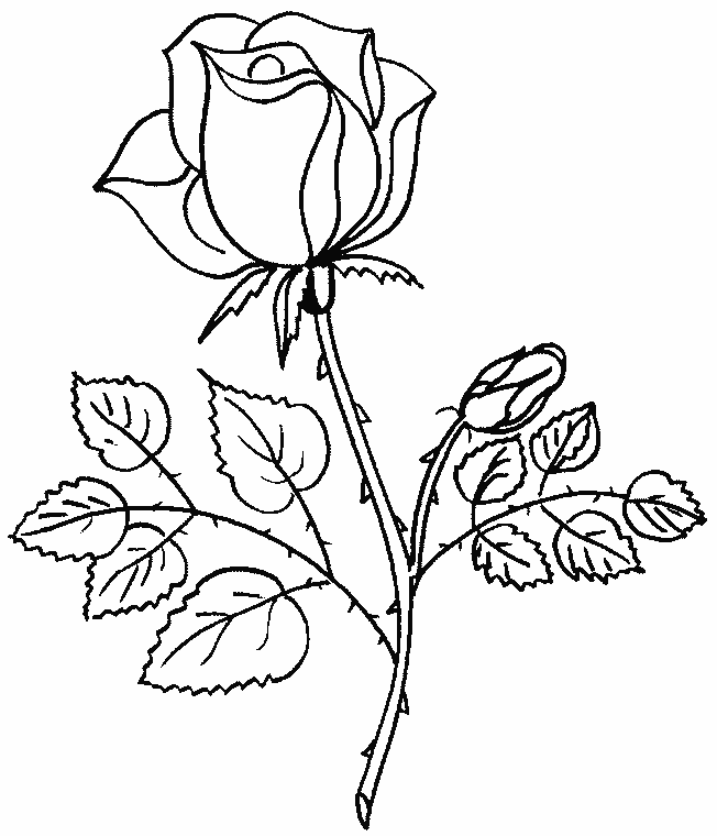 Dessin à colorier: Bouquet de fleurs (Nature) #160736 - Coloriages à Imprimer Gratuits