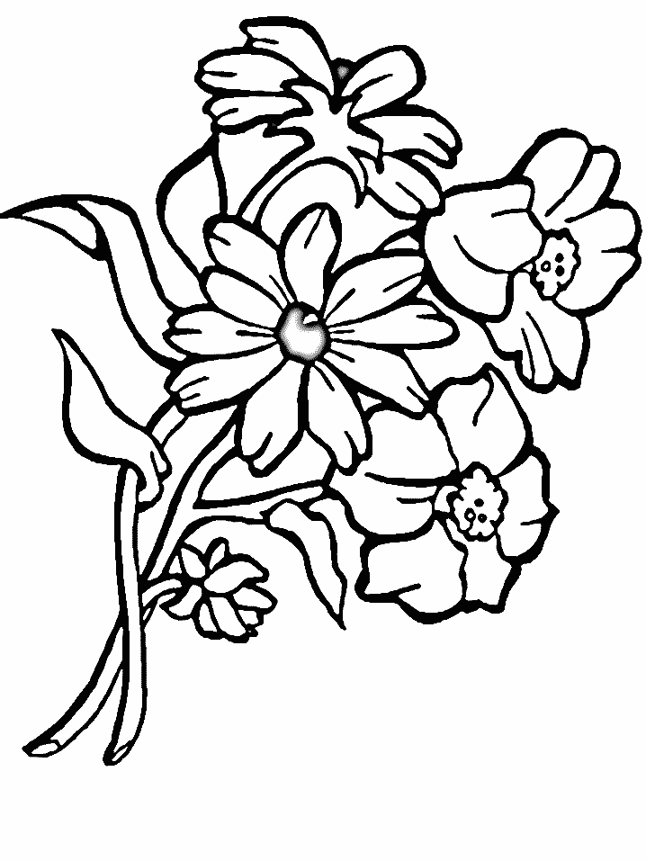 Dessin à colorier: Bouquet de fleurs (Nature) #160826 - Coloriages à Imprimer Gratuits