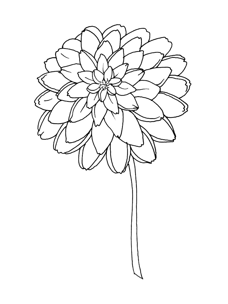 Dessin à colorier: Bouquet de fleurs (Nature) #160838 - Coloriages à Imprimer Gratuits
