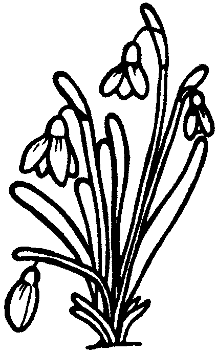 Dessin à colorier: Bouquet de fleurs (Nature) #160845 - Coloriages à Imprimer Gratuits