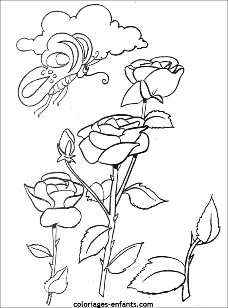 Dessin à colorier: Bouquet de fleurs (Nature) #160849 - Coloriages à Imprimer Gratuits