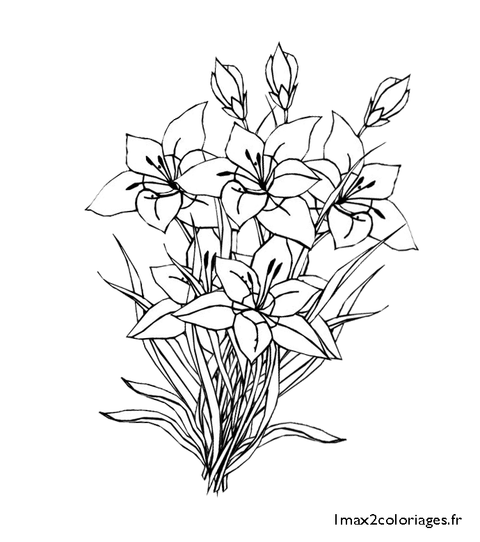 Dessin à colorier: Bouquet de fleurs (Nature) #160865 - Coloriages à Imprimer Gratuits