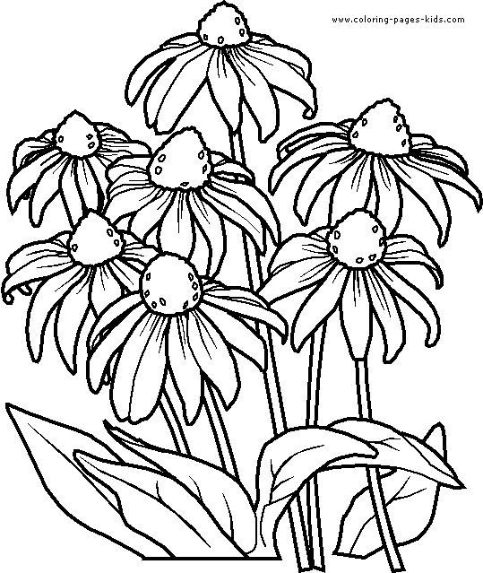 Dessin à colorier: Bouquet de fleurs (Nature) #160888 - Coloriages à Imprimer Gratuits