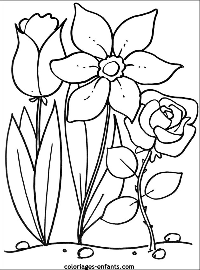 Dessin à colorier: Bouquet de fleurs (Nature) #160931 - Coloriages à Imprimer Gratuits