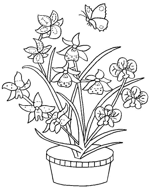 Dessin à colorier: Bouquet de fleurs (Nature) #161091 - Coloriages à Imprimer Gratuits