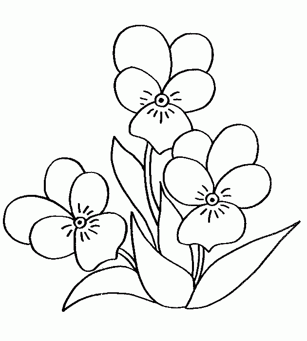 Dessin à colorier: Bouquet de fleurs (Nature) #161093 - Coloriages à Imprimer Gratuits