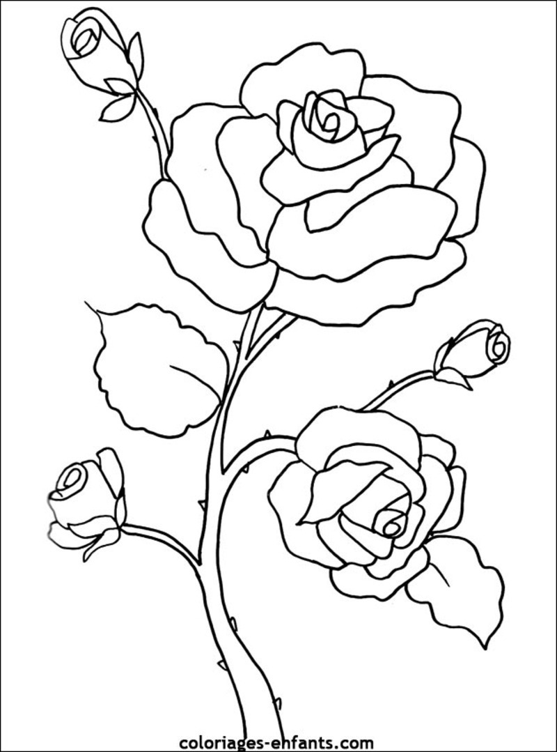 Dessin à colorier: Fleurs (Nature) #154967 - Coloriages à Imprimer Gratuits