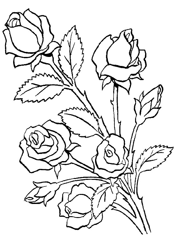 Dessin à colorier: Fleurs (Nature) #154976 - Coloriages à Imprimer Gratuits