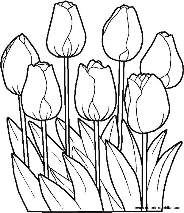 Dessin à colorier: Fleurs (Nature) #154985 - Coloriages à Imprimer Gratuits