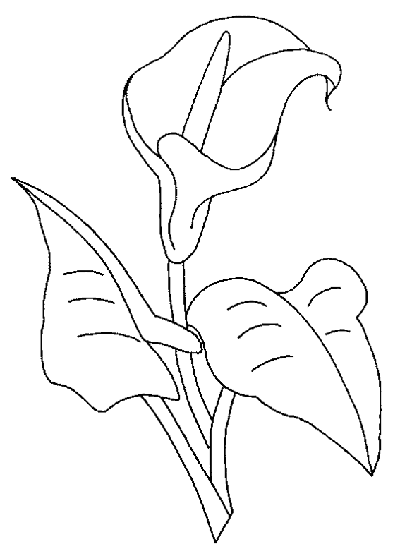 Dessin à colorier: Fleurs (Nature) #154989 - Coloriages à Imprimer Gratuits