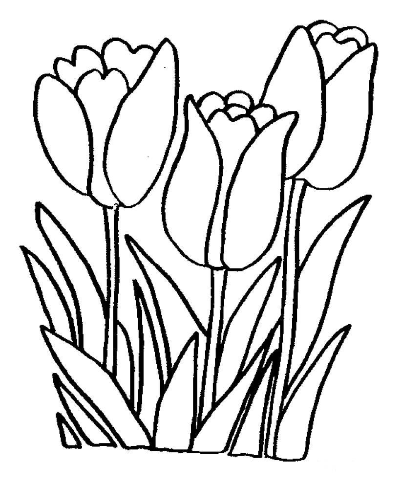 Dessin à colorier: Fleurs (Nature) #154991 - Coloriages à Imprimer Gratuits